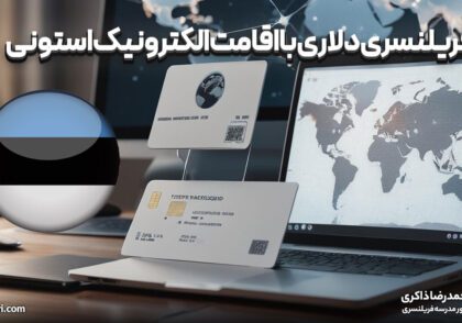 فریلنسری دلاری با اقامت الکترونیک استونی